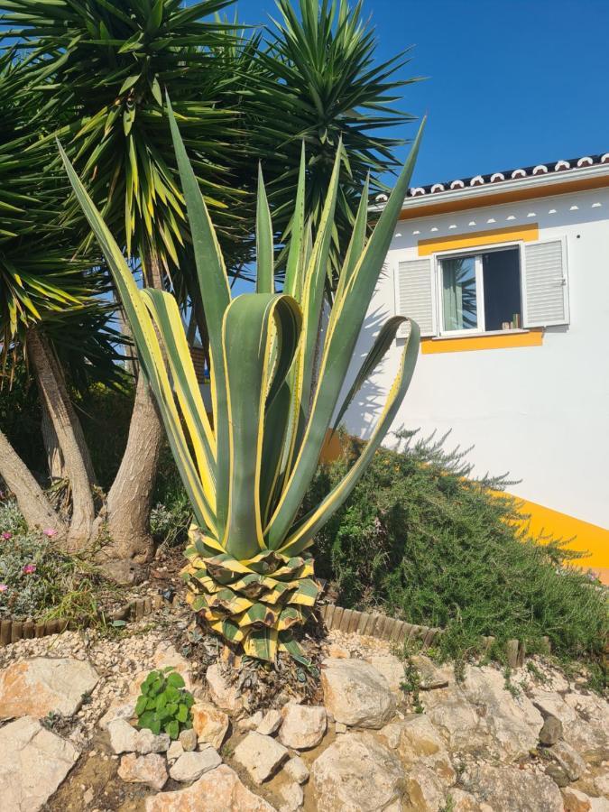 Casa Ensolarada B&B And Pottery Aljezur Luaran gambar